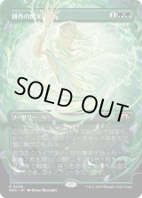 画像: 【ボーダーレス】【日本語版】耕作の閃光/Flare of Cultivation