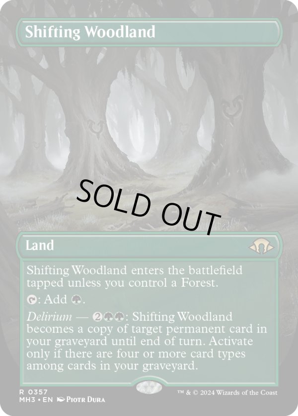 画像1: 『ボーダーレス』『英語版』変容する森林/Shifting Woodland (1)