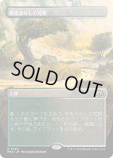 画像: 【Foil】【ボーダーレス】【日本語版】吹きさらしの荒野/Windswept Heath