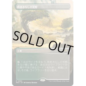 画像: 【Foil】【ボーダーレス】【日本語版】吹きさらしの荒野/Windswept Heath