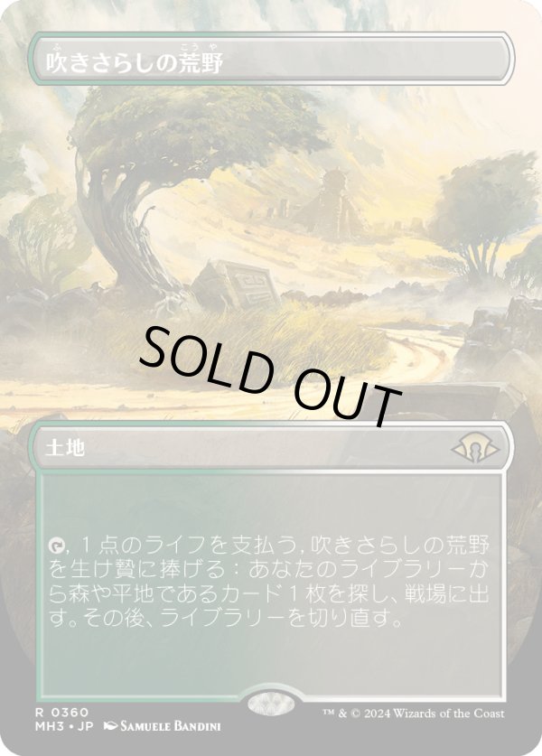 画像1: 【Foil】【ボーダーレス】【日本語版】吹きさらしの荒野/Windswept Heath (1)