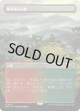 画像: 【Foil】【ボーダーレス】【日本語版】樹木茂る山麓/Wooded Foothills