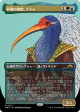 画像: 【ボーダーレス】【日本語版】有翼の叡智、ナドゥ/Nadu, Winged Wisdom