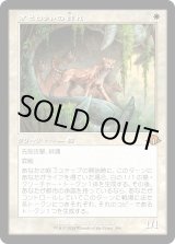 画像: 【Foil】【旧枠】【日本語版】オセロットの群れ/Ocelot Pride