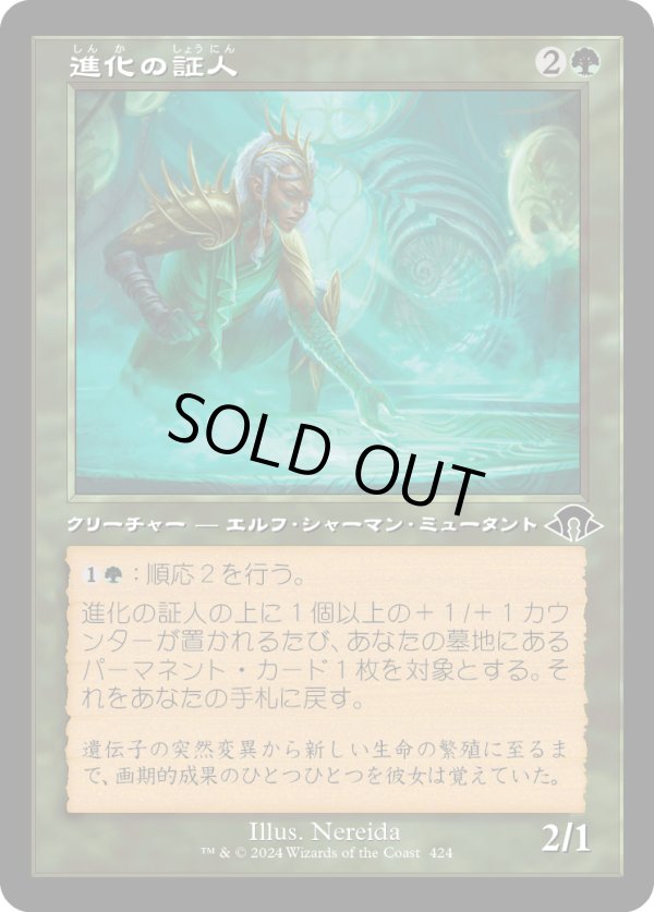 画像1: 【Foil】【旧枠】【日本語版】進化の証人/Evolution Witness (1)