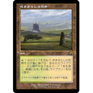 画像: 【旧枠】【日本語版】吹きさらしの荒野/Windswept Heath