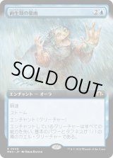 画像: 【Foil】【拡張枠】【日本語版】両生類の豪雨/Amphibian Downpour