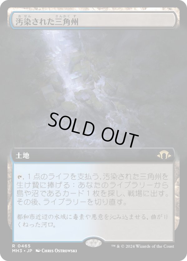 画像1: 【拡張枠】【日本語版】汚染された三角州/Polluted Delta (1)