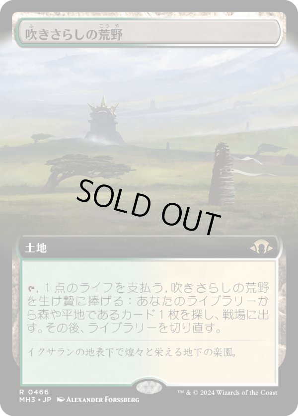 画像1: 【Foil】【拡張枠】【日本語版】吹きさらしの荒野/Windswept Heath (1)