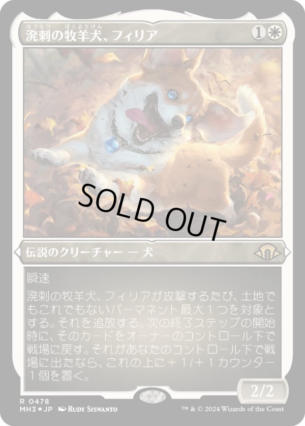 画像1: 【エッチングFoil】【日本語版】溌剌の牧羊犬、フィリア/Phelia, Exuberant Shepherd (1)