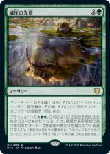 画像: 【日本語】威圧の光景/Visions of Dominance