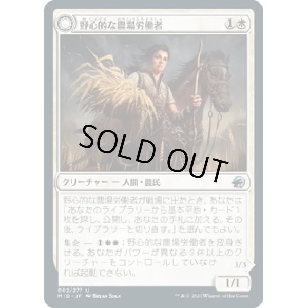 画像1: 【日本語版】野心的な農場労働者/歴戦の聖戦士/Ambitious Farmhand/Seasoned Cathar (1)