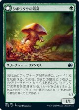 画像: 【日本語版】シボウタケの若芽/巨大シボウタケ/Deathbonnet Sprout/Deathbonnet Hulk