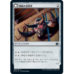 画像: 【日本語版】神秘の頭蓋骨/神秘の大怪物/Mystic Skull/Mystic Monstrosity