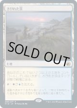 画像: 【日本語版】さびれた浜/Deserted Beach
