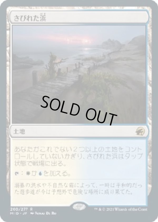 画像1: 【日本語版】さびれた浜/Deserted Beach (1)