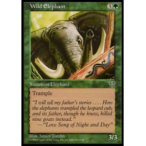 画像: 『英語版』野生の象/Wild Elephant
