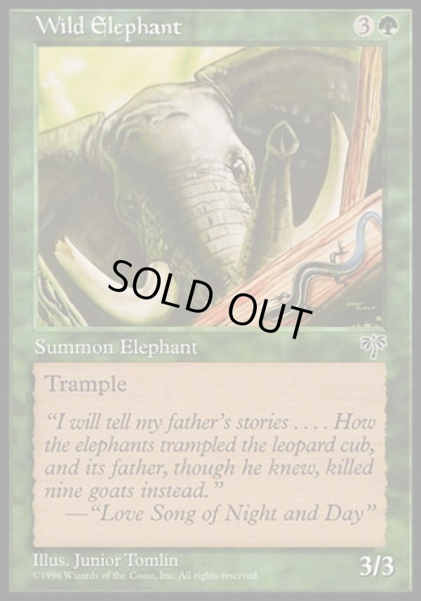 画像1: 【日本語版】野生の象/Wild Elephant (1)