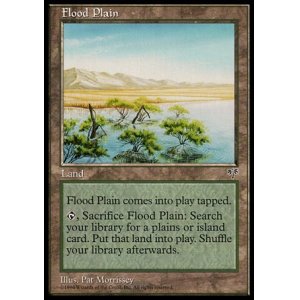 画像: 『英語版』氾濫原/Flood Plain