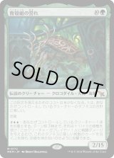 画像: 【Foil】【日本語版】育殻組の誉れ/The Pride of Hull Clade
