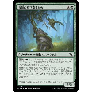 画像: 【日本語版】復讐の忍び寄るもの/Vengeful Creeper