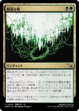 画像: 【日本語版】陰湿な根/Insidious Roots