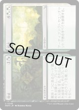 画像: 【日本語版】中止 + 停止/Cease + Desist