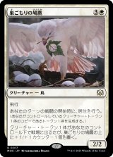 画像: 【日本語版】巣ごもりの鳩鷹/Nesting Dovehawk