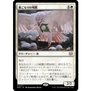 画像: 【日本語版】巣ごもりの鳩鷹/Nesting Dovehawk