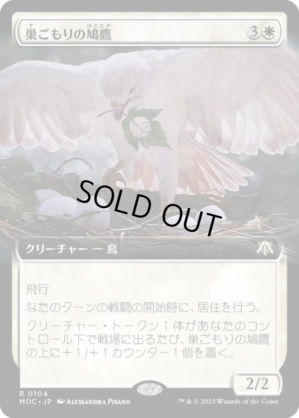 画像1: 【拡張枠】【日本語版】巣ごもりの鳩鷹/Nesting Dovehawk (1)