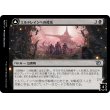 画像1: 【日本語版】エルドレインへの侵攻/とげ刺しフェアリー/Invasion of Eldraine/Prickle Faeries (1)