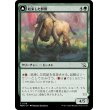 画像1: 【日本語版】結束した群獣/板金鎧の窯獣/Bonded Herdbeast/Plated Kilnbeast (1)