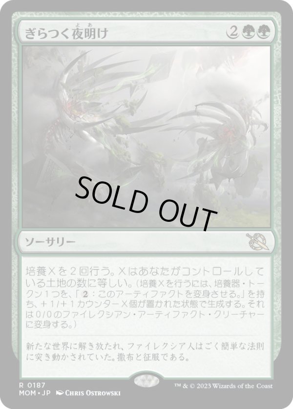 画像1: 【Foil】【日本語版】ぎらつく夜明け/Glistening Dawn (1)