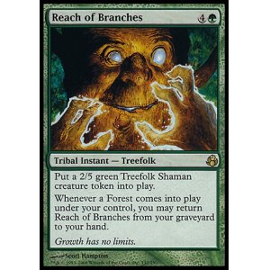 画像: 【日本語版】枝の手の内/Reach of Branches