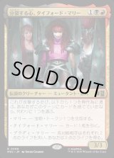 画像: 【日本語版】分裂する心、タイフォード・マリー/Typhoid Mary, Fractured