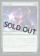 画像: 【Foil】【日本語版】内にいる獣/Beast Within