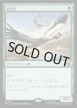 画像: 【Foil】【日本語版】極楽鳥/Birds of Paradise