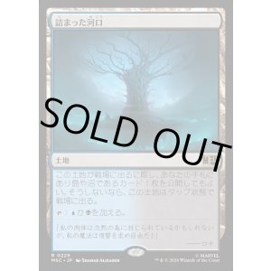 画像: 【Foil】【日本語版】詰まった河口/Choked Estuary