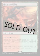 画像: 【Foil】【日本語版】燃えがらの林間地/Cinder Glade