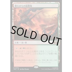 画像: 【Foil】【日本語版】燃えがらの林間地/Cinder Glade