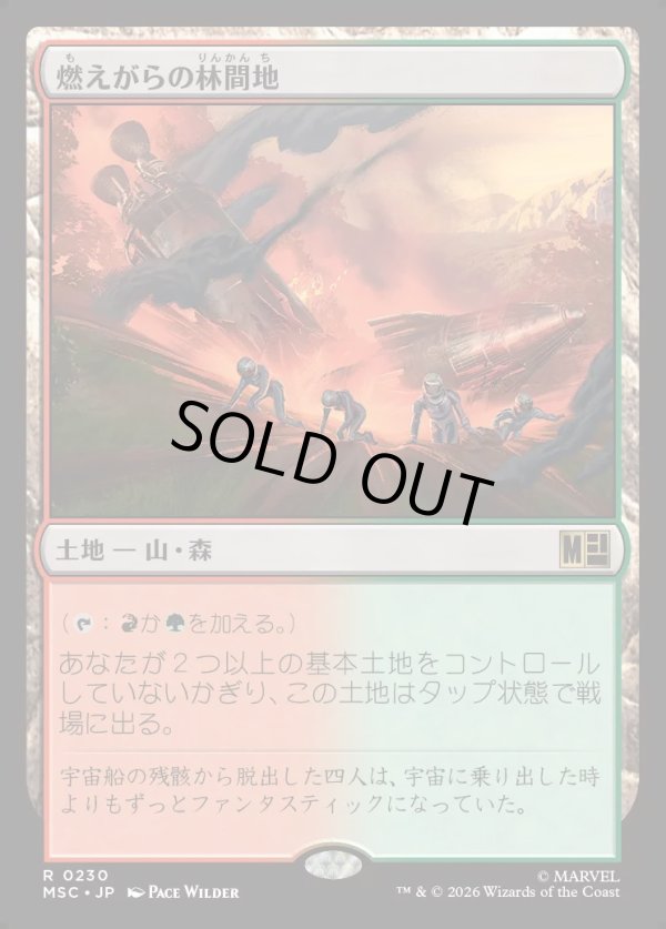 画像1: 【日本語版】燃えがらの林間地/Cinder Glade (1)