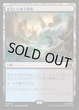 画像: 【Foil】【日本語版】水没した地下墓地/Drowned Catacomb