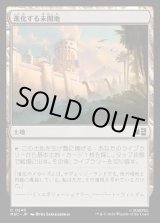 画像: 【Foil】【日本語版】進化する未開地/Evolving Wilds