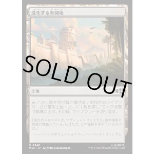 画像: 【Foil】【日本語版】進化する未開地/Evolving Wilds
