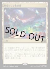 画像: 【Foil】【日本語版】風変わりな果樹園/Exotic Orchard