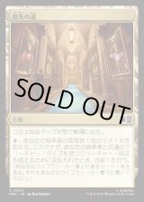 画像: 【Foil】【日本語版】祖先の道/Path of Ancestry