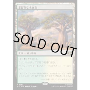 画像: 【Foil】【日本語版】まばらな木立ち/Scattered Groves