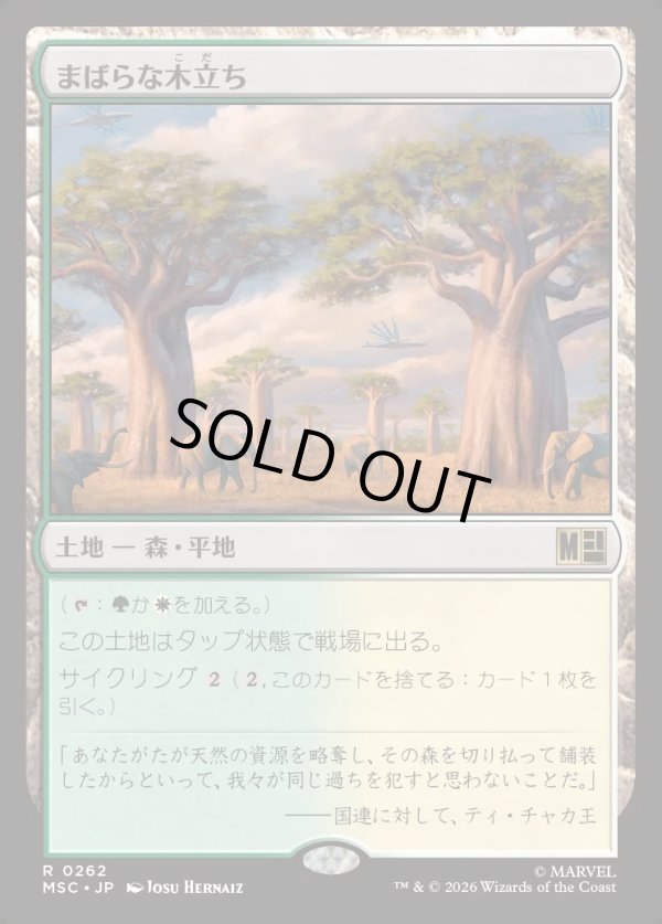 画像1: 【Foil】【日本語版】まばらな木立ち/Scattered Groves (1)