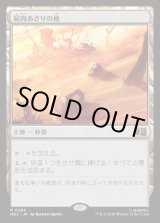 画像: 【Foil】【日本語版】屍肉あさりの地/Scavenger Grounds