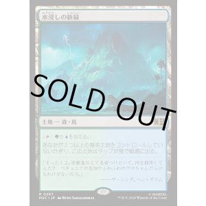 画像: 【Foil】【日本語版】水浸しの新緑/Sodden Verdure